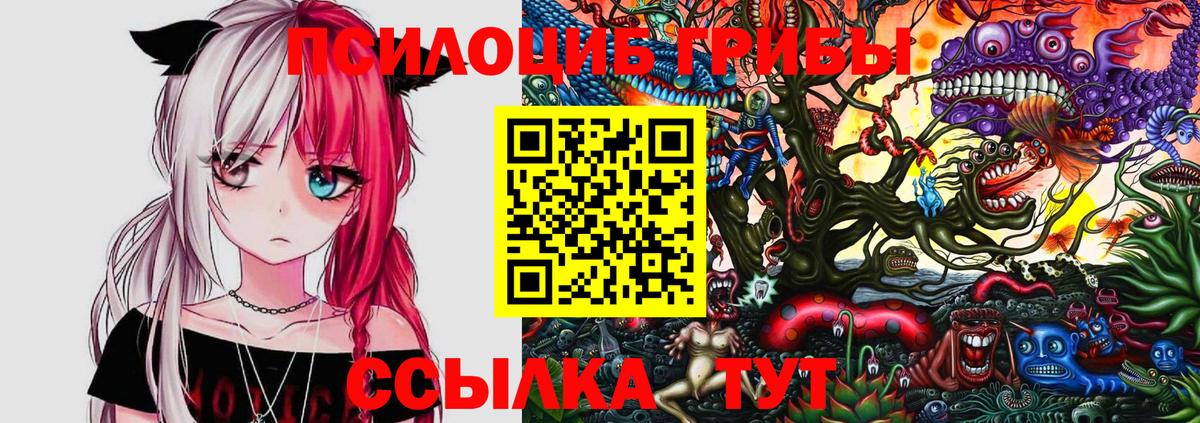Котлас  Галлюциногенные грибы GOLDEN TEACHER  Вход с VPN 