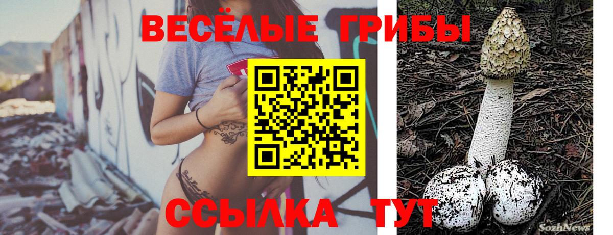 Галлюциногенные грибы мицелий Котлас